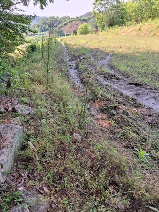 김광자님의 기타작물 · 영농일지 작성글 사진