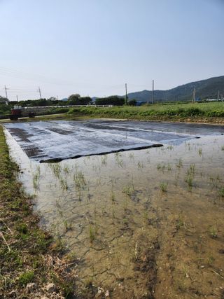 정재문님의 기타작물 · 영농일지 작성글 사진