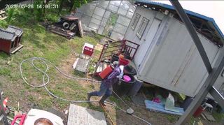 ♡청심전유삼♡님의 기타작물 · 영농일지 작성글 사진