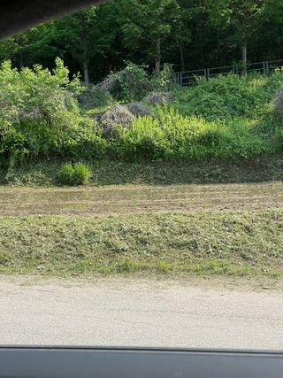 별@노래농장(정씨)님의 벼 · 영농일지 작성글 사진