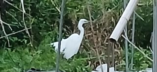 우철님의 기타작물 · 영농일지 작성글 사진