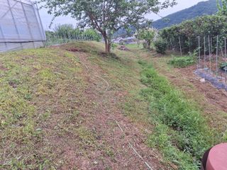 정희군님의 복숭아 · 영농일지 작성글 사진