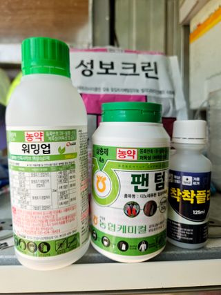 윤장원님의 자두 · 영농일지 작성글 사진