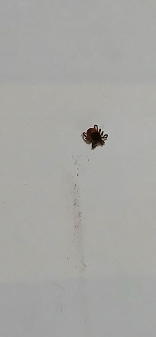 우철님의 기타작물 · 영농일지 작성글 사진