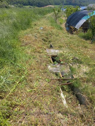 표고버섯18837님의 기타작물 · 영농일지 작성글 사진