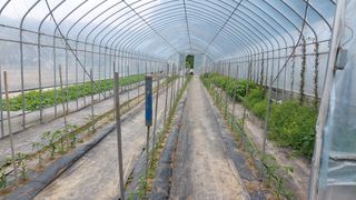 강원도 횡성군님의 기타작물 · 영농일지 작성글 사진