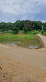 팜모닝 기타작물·영농일지 게시글 이미지