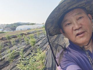 정헌경님의 기타작물 · 영농일지 작성글 사진