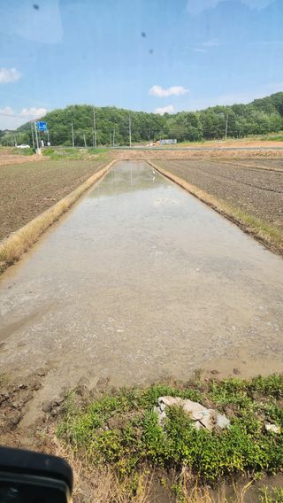 안경준님의 벼 · 영농일지 작성글 사진