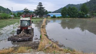 월굴리이승재님의 벼 · 영농일지 작성글 사진