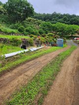 팜모닝 감자·영농일지 게시글 이미지