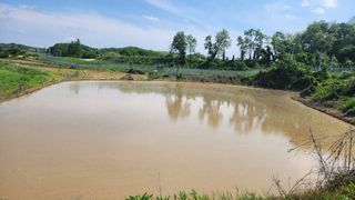 안경준님의 벼 · 영농일지 작성글 사진