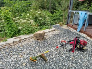 해풍맞은 맛있는 감님의 감 · 영농일지 작성글 사진