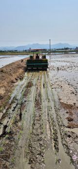 팜모닝 기타작물·영농일지 게시글 이미지