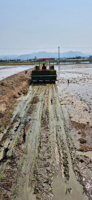 힐링농장님의 기타작물 · 영농일지 작성글 사진