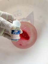 팜모닝 포도·영농일지 게시글 이미지