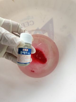 김영준님의 포도 · 영농일지 작성글 사진