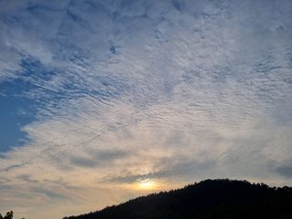 해풍맞은 맛있는 감님의 감 · 영농일지 작성글 사진