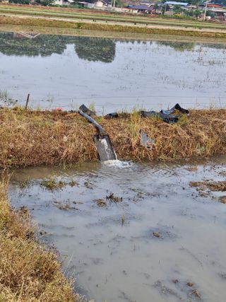 메추라기님의 기타작물 · 영농일지 작성글 사진