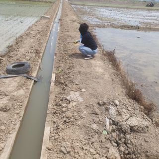 김광신님의 벼 · 영농일지 작성글 사진