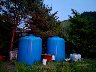 황인근님의 블루베리 · 영농일지 작성글 사진