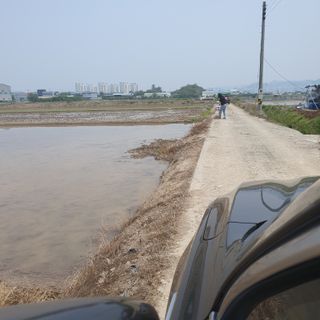 김광신님의 벼 · 영농일지 작성글 사진