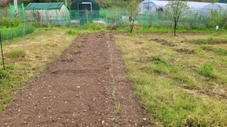 정인재님의 기타작물 · 영농일지 작성글 사진