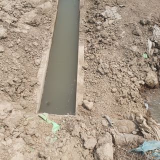 김광신님의 벼 · 영농일지 작성글 사진