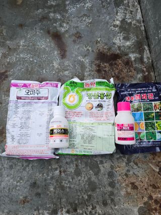 신현오님의 복숭아 · 영농일지 작성글 사진