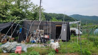 정인재님의 기타작물 · 영농일지 작성글 사진