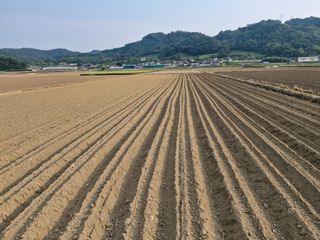 빡구님의 기타작물 · 영농일지 작성글 사진