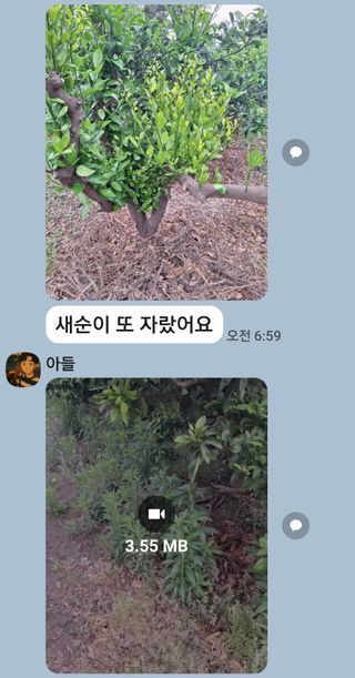 이영학 님의 귤 · 영농일지 작성글 사진