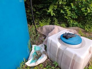 황인근님의 블루베리 · 영농일지 작성글 사진