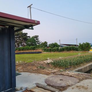 백현호님의 벼 · 영농일지 작성글 사진