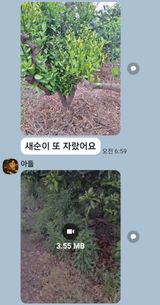 이영학 님의 작성글 사진