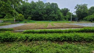 서초농원님의 기타작물 · 영농일지 작성글 사진