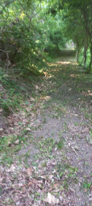 정석채님의 기타작물 · 영농일지 작성글 사진