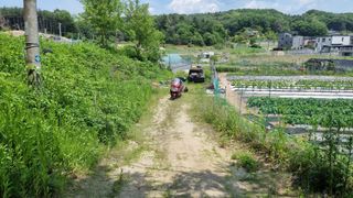 김윤회님의 호박 · 영농일지 작성글 사진