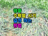 팜모닝 기타작물·영농일지 게시글 이미지
