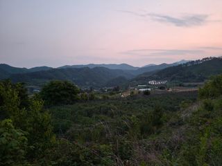 황인근님의 블루베리 · 영농일지 작성글 사진