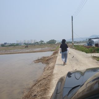 김광신님의 벼 · 영농일지 작성글 사진