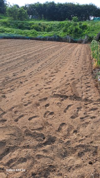 조연만님의 기타작물 · 영농일지 작성글 사진