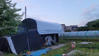 정인재님의 기타작물 · 영농일지 작성글 사진