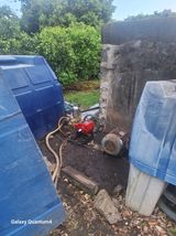 팜모닝 귤·영농일지 게시글 이미지