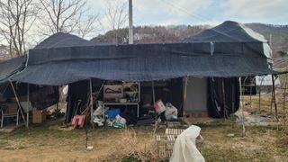 정인재님의 기타작물 · 영농일지 작성글 사진