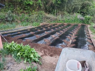 김윤철님의 콩 · 영농일지 작성글 사진