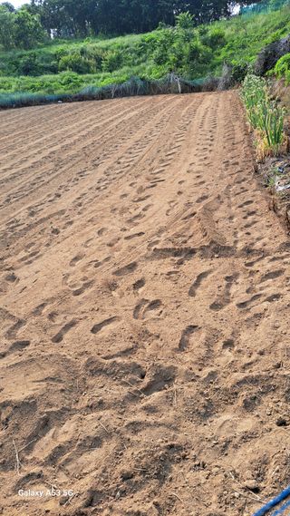 조연만님의 기타작물 · 영농일지 작성글 사진