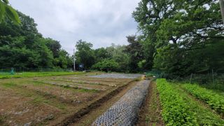 서초농원님의 기타작물 · 영농일지 작성글 사진