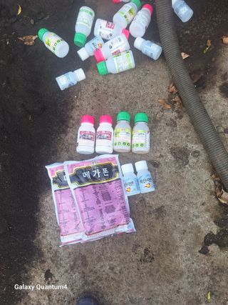 송임철님의 귤 · 영농일지 작성글 사진