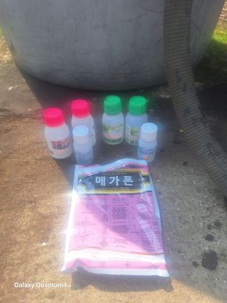 송임철님의 귤 · 영농일지 작성글 사진